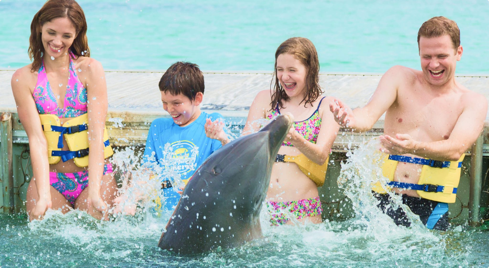 Dolphin Experience